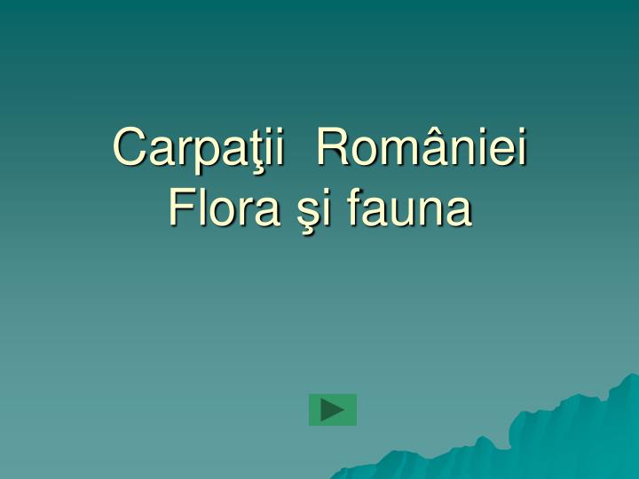 carpa ii rom niei flora i fauna