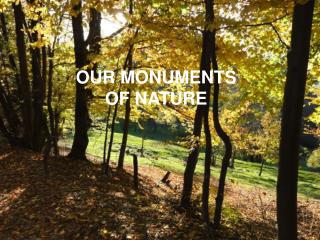 OUR MONUMENTS OF NATURE