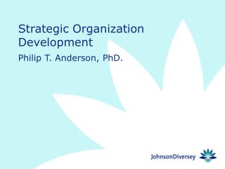 Strategic Organization Development
