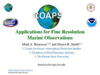 Applications for Fine Resolution Marine Observations