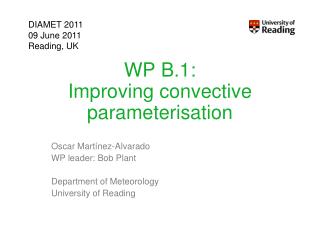 WP B.1: Improving convective parameterisation