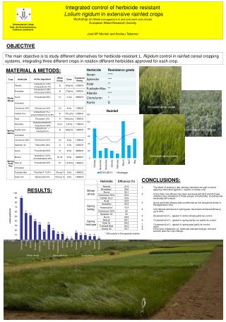 Integrated control of herbicide resistant Lolium rigidum in extensive rainfed crops