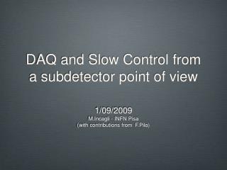 DAQ and Slow Control from a subdetector point of view