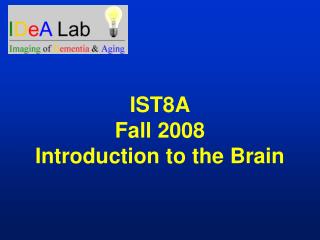 IST8A Fall 2008 Introduction to the Brain