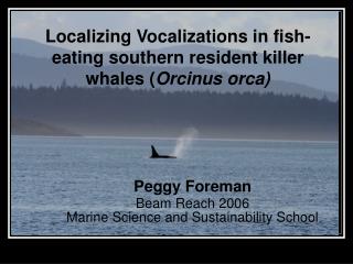 Localizing Vocalizations in fish-eating southern resident killer whales ( Orcinus orca)