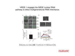 BA Buckley et al. Nature 000 , 1-5 (2012) doi:10.1038/nature11352