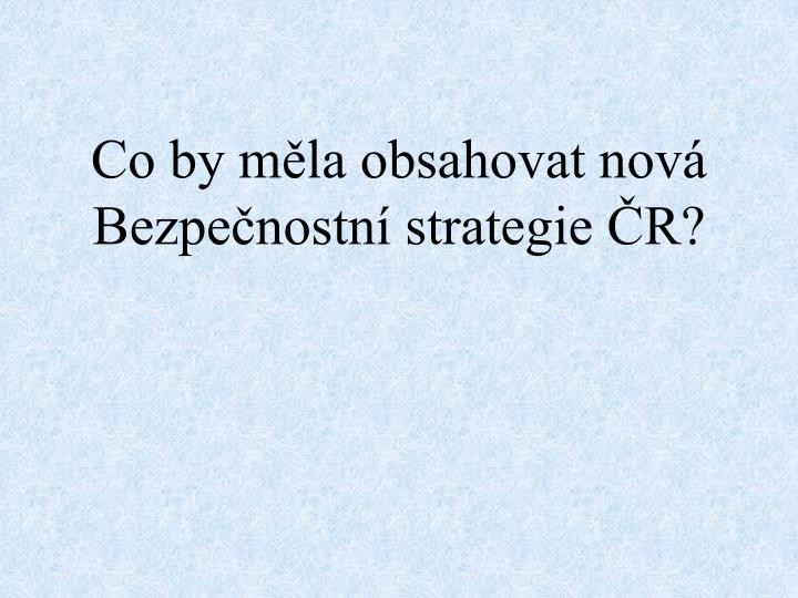 co by m la obsahovat nov bezpe nostn strategie r