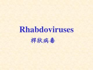 Rhabdoviruses