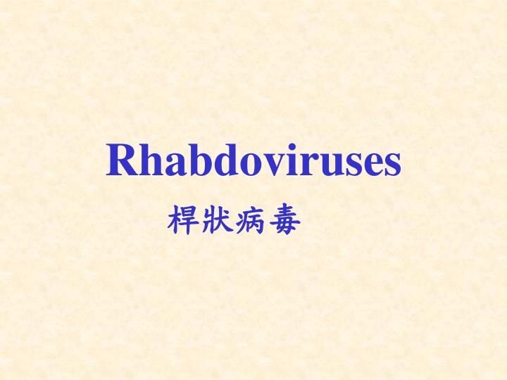 rhabdoviruses