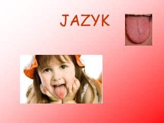 jazyk