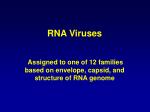 RNA Viruses - slide 1