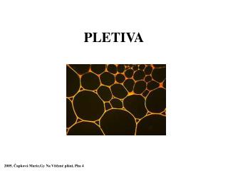 pletiva