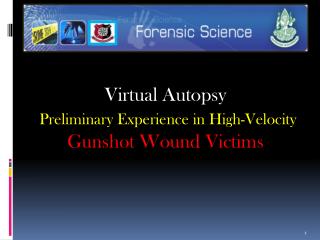 Virtual Autopsy Preliminary Experience in High-Velocity Gunshot Wound Victims