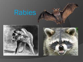 Rabies