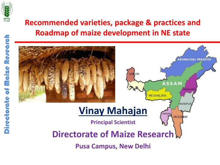 recommended varieties package practices and roadmap of maize development in ne state