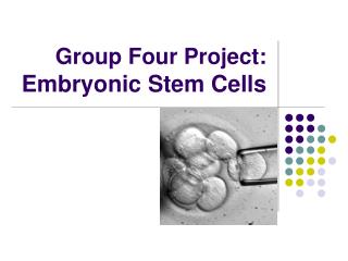 Group Four Project: Embryonic Stem Cells