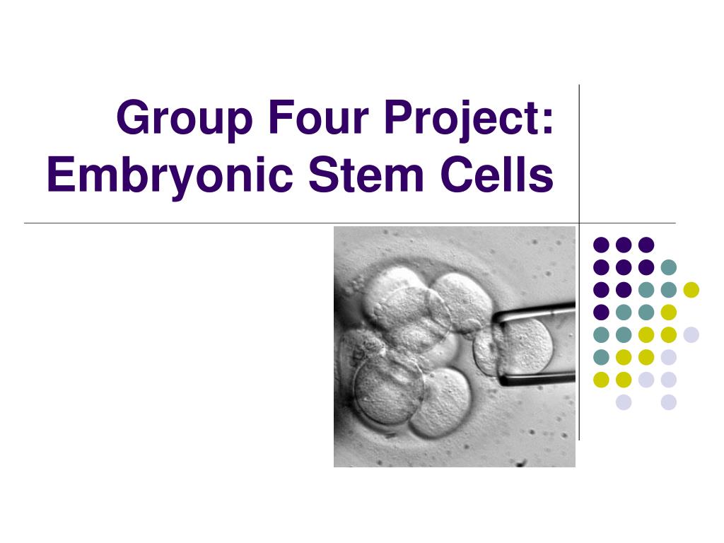 PPT - Group Four Project: Embryonic Stem Cells PowerPoint Presentation ...