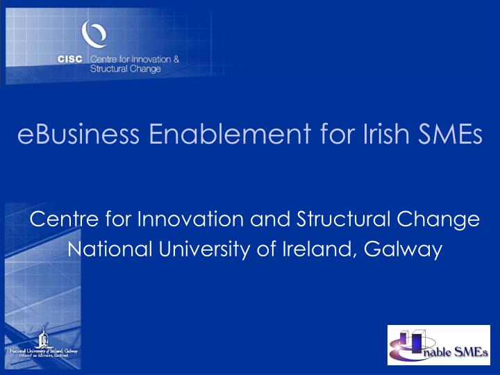 ebusiness enablement for irish smes