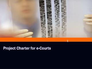 Project Charter for e-Courts