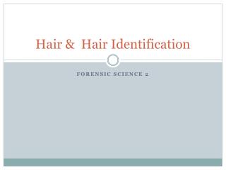 Hair &amp; Hair Identification
