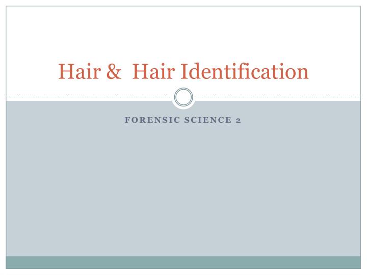 hair hair identification
