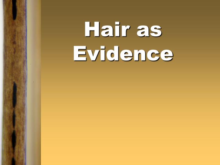 hair as evidence