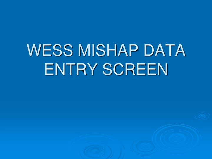 wess mishap data entry screen