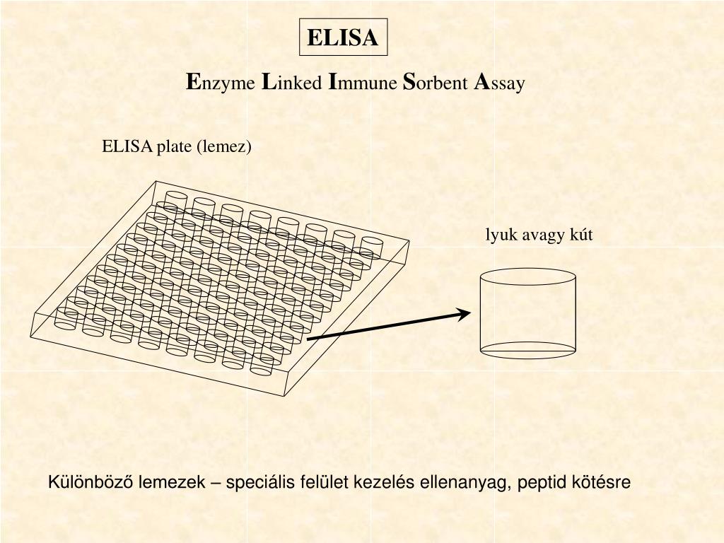 PPT - ELISA PowerPoint Presentation, free download - ID:3531179