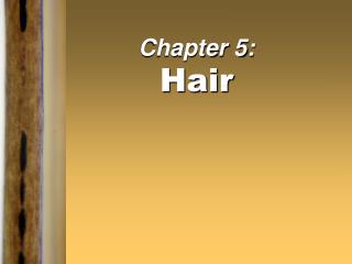 Chapter 5: Hair