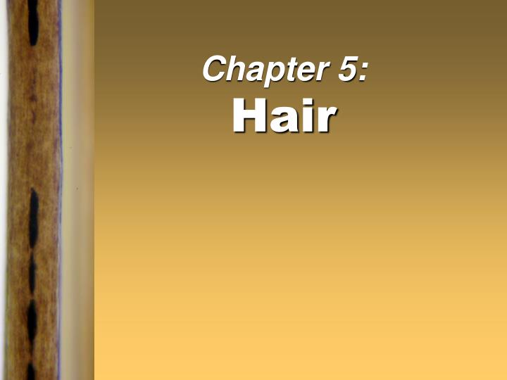 chapter 5 hair