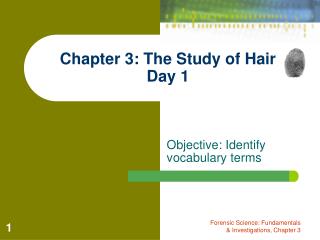 Chapter 3: The Study of Hair Day 1