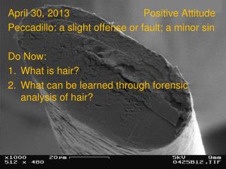 April 30, 2013				Positive Attitude Peccadillo: a slight offense or fault; a minor sin Do Now: