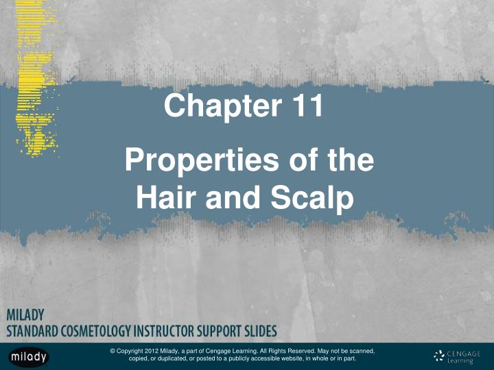 chapter 11 properties of the hair and scalp