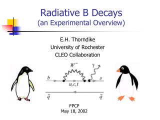 Radiative B Decays (an Experimental Overview)
