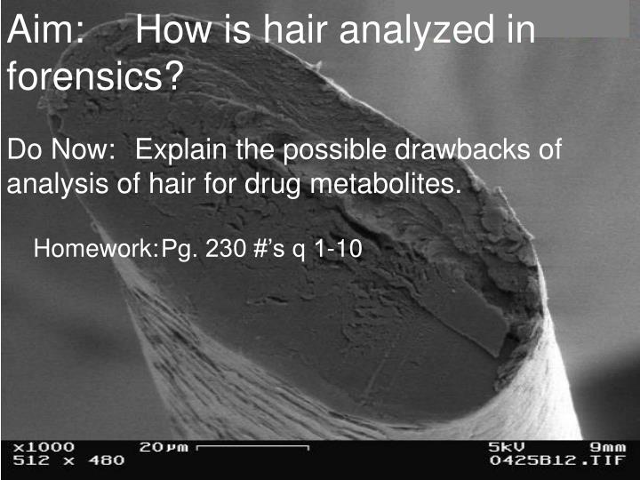 aim how is hair analyzed in forensics