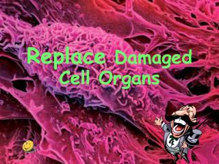 . Replace Damaged Cell Organs