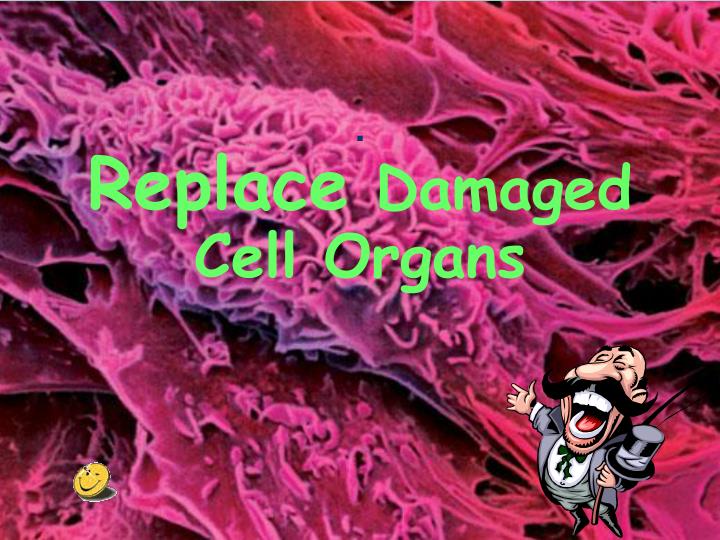 replace damaged cell organs