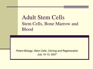 Adult Stem Cells Stem Cells, Bone Marrow and Blood