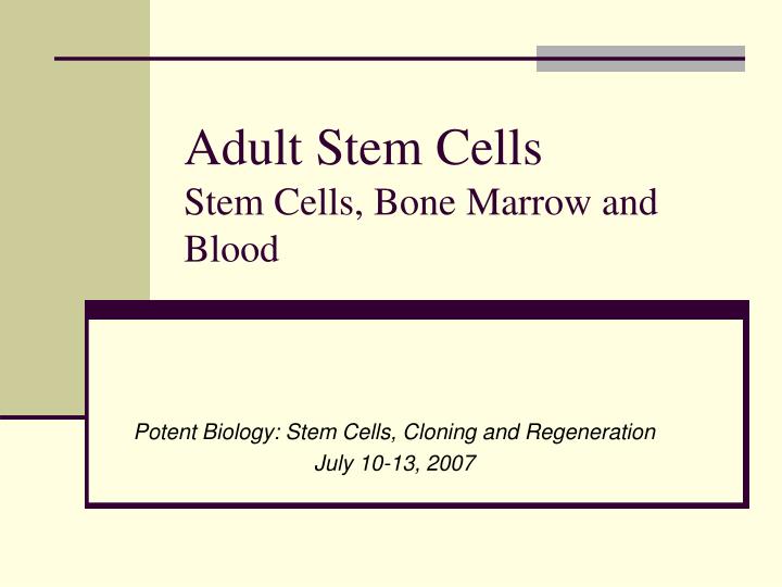 adult stem cells stem cells bone marrow and blood