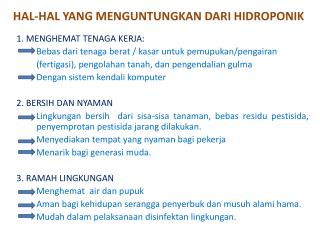 hal hal yang menguntungkan dari hidroponik
