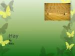 Hay - slide 1