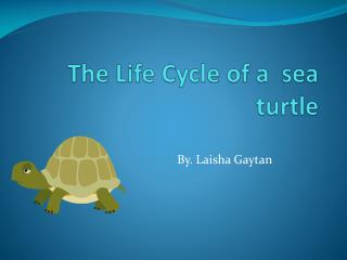 The Life C ycle of a sea turtle