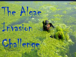The Algae Invasion Challenge