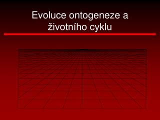 evoluce ontogeneze a ivotn ho cyklu