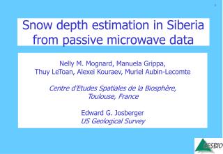 Snow depth estimation in Siberia from passive microwave data