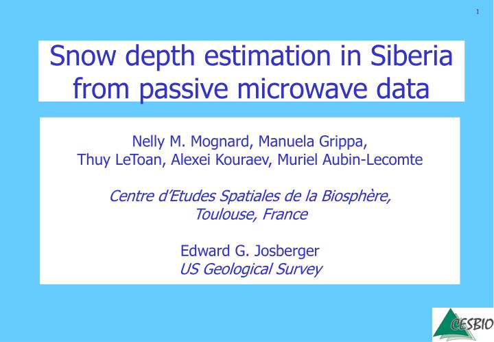 snow depth estimation in siberia from passive microwave data