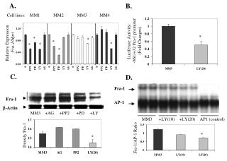 Cell lines: MM1 MM2 MM3 MM4