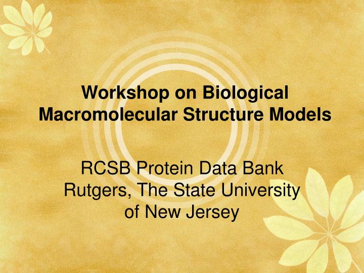 workshop on biological macromolecular structure models