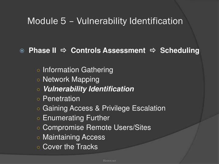 module 5 vulnerability identification