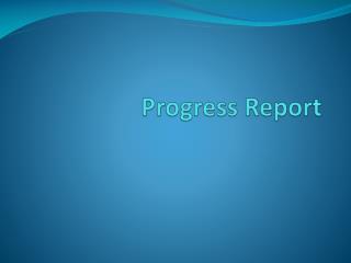 Progress Report